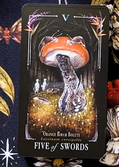 Midnight Magic: A Tarot Deck of Mushrooms